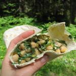 Tortilje s čičeriko in divjo zelenjavo.