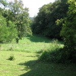 IMG_0001_1