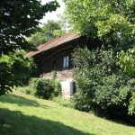 IMG_0002_1