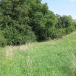 IMG_0037_1