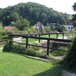IMG_0050_1